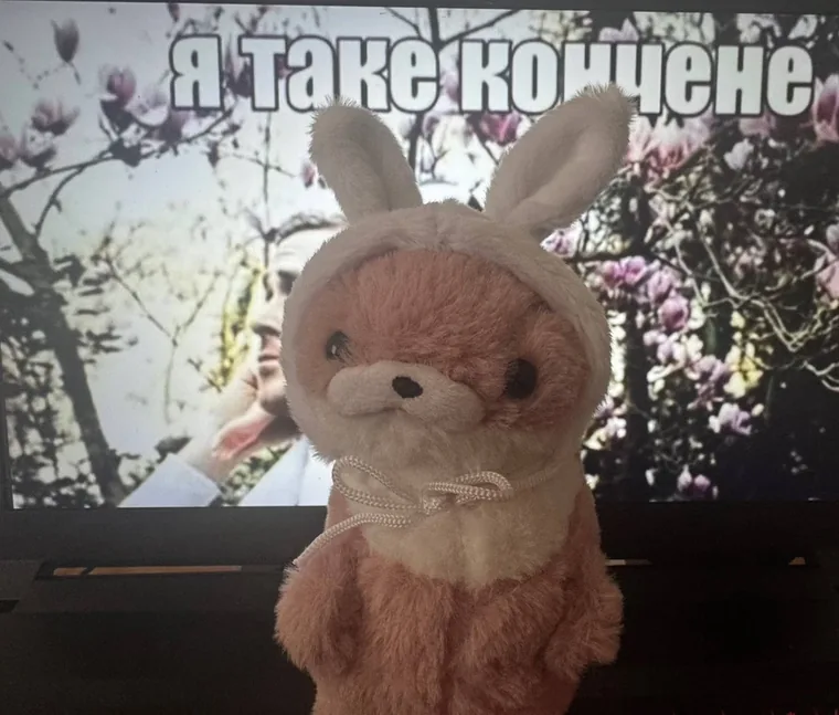 Фото покупателя